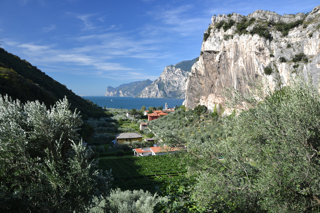 Blick auf Torbole Sul Garda